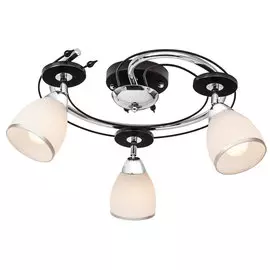 Люстра Silver Light Austerity 223.59.3