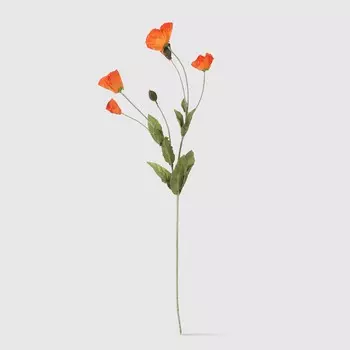 Маки Конэко-О 97813