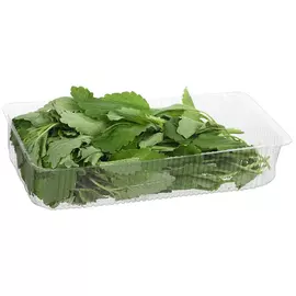 Мелисса Лето 50 г