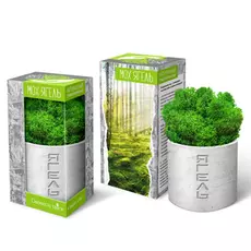 Мох Ягель натуральный ARTиCOOL стабилизированный