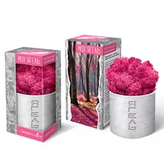 Мох Ягель натуральный ARTиCOOL стабилизированный