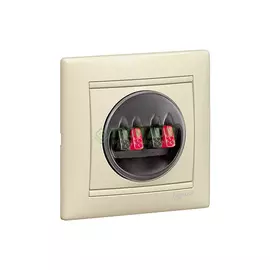 Мультимедийная розетка Legrand Valena (774324)