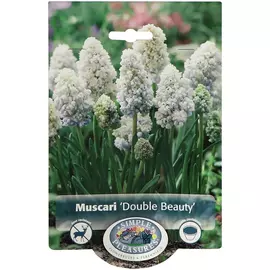 Мускари Simple Pleasures Double Beauty 10 шт