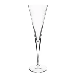 Набор бокалов для шампанского Nachtmann из 4 фужеров delight