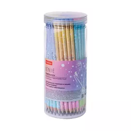 Набор черногрифельных карандашей Hatber Sense HB 72 шт