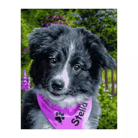 Набор для живописи по номерам Портер Колли 24x30 см