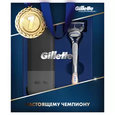 Набор Gillette Skinguard 2 предмета