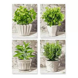 Набор из четырех раскрасок по номерам Кулинарные травы в горшках 18х24 см