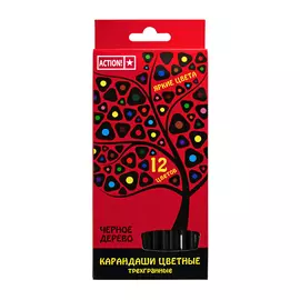 Набор карандашей Action 12 цветов