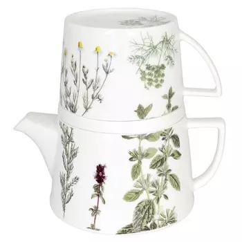 Набор KOENITZ чайник заварочный 650 мл + кружка 350 мл + подставка Растение