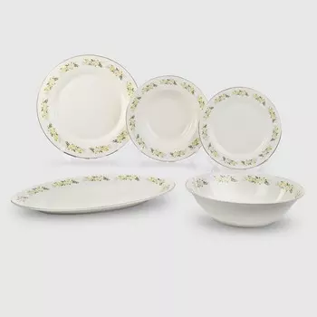 Набор посуды French garden Ray 20 предметов