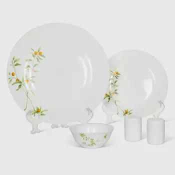 Набор столовый La opala Vivid 20 предметов