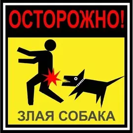Наклейка Duck and Dog 10х10 44 опасно злая собака