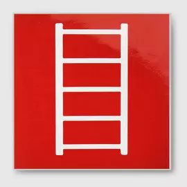 Наклейка Duck and Dog пожарная лестница 10х10 см