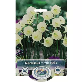 Нарцисс Simple Pleasures Arctic Bells 10 шт