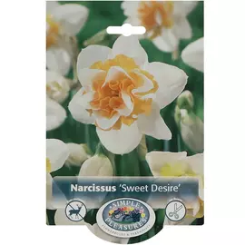 Нарцисс Simple Pleasures Sweet Desire 5 шт