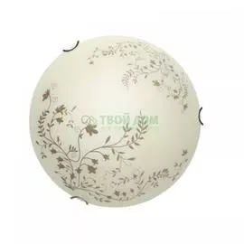 Настенно-потолочный светильник Arte Lamp Ornament A4920PL-1CC