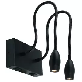 Настенный светильник Arte Lamp Scorcio A7003AP-2BC