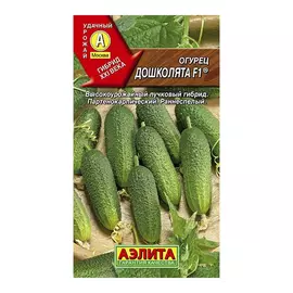 Огурец Аэлита дошколята