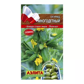 Огурец Аэлита многодетный