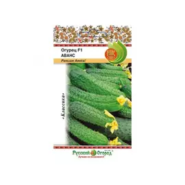 Огурец Русский огород аванс F1 10 шт