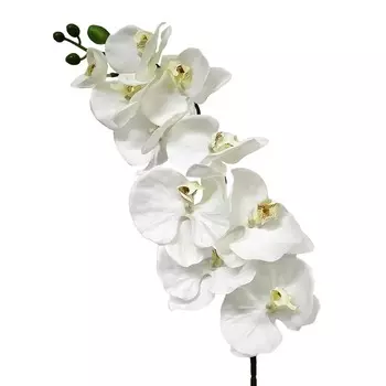 Орхидея фаленопсис Конэко-О 72921 102 см