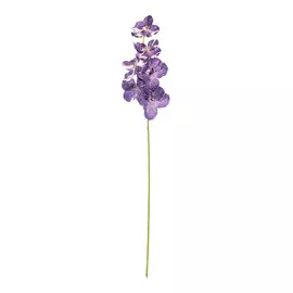 Орхидея фиолетовая Конэко-о высота 100 /40+60/ см