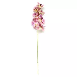 Орхидея розового цвета высота 100 /40+60/ см Конэко-О