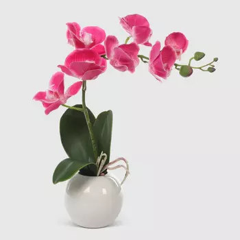 Орхидея в белом кашпо Конэко-О 574_10163185 40 см