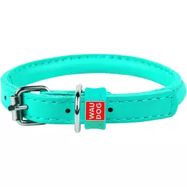 Ошейник для собак CoLLaR Waudog Glamour круглый для длинношерстных 8 мм x 20-25 см ментоловый