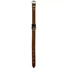 Ошейник для собак ZOOEXPRESS Hight Line с тиснением 25 мм 50 см Рыжий