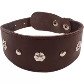 Ошейник для собак ZOOEXPRESS Камбала 1 сл 55 мм 30 см Коричневый