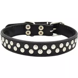 Ошейник для собак ZOOEXPRESS Клепка 2 сл 26 мм 50 см Черный