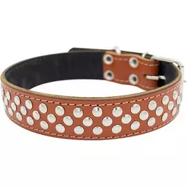 Ошейник для собак ZOOEXPRESS Клепка 2 сл 36 мм 60 см Рыжий