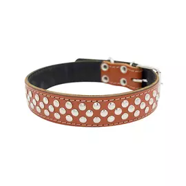 Ошейник для собак ZOOEXPRESS Клепка оранжевый 70 см