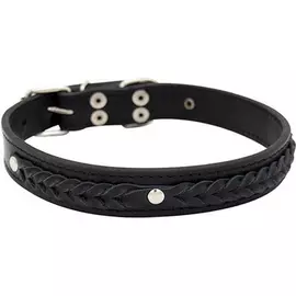 Ошейник для собак ZOOEXPRESS Колосок 2 сл 18 мм 42 см Черный