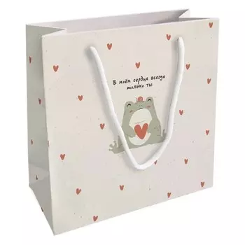 Пакет бумажный подарочный Be Smart 20х20 см. Коллекция "Forest", лягушка