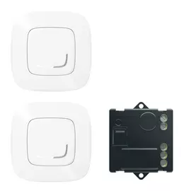 Пакет для управления освещением c 2х мест Legrand Valena Allure with NETATMO, белый