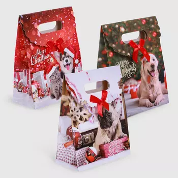 Пакет подарочный Ad trend NY 17х8х21 см