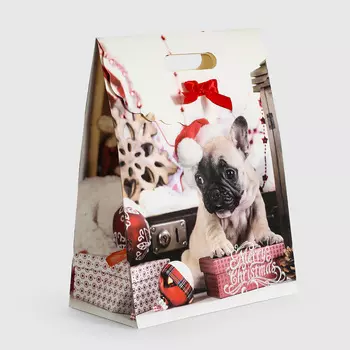 Пакет подарочный Ad trend NY 28х15х37 см