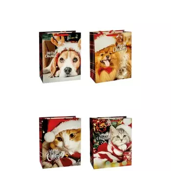 Пакет подарочный Ad trend NY 41х21х50 см