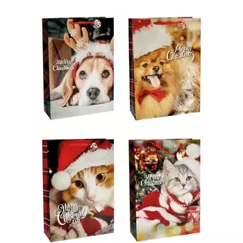 Пакет подарочный Ad trend NY 50х20х70 см