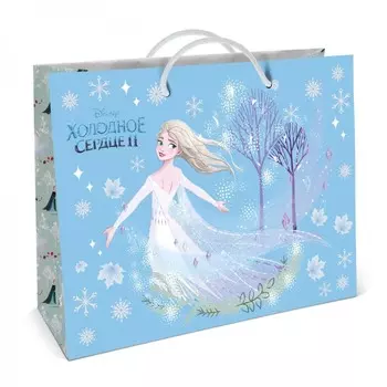 Пакет подарочный Disney Холодное сердце большой 40х30 см в ассортименте