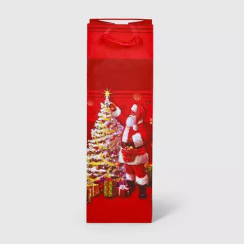 Пакет подарочный Due Esse Christmas Babbo Natale 3D 12x11x36 см