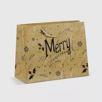 Пакет подарочный Due Esse Christmas natalizia 23х10х18 см