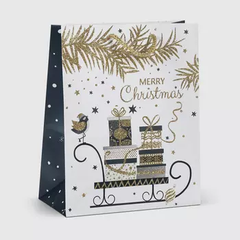 Пакет подарочный Due Esse Christmas regalo natalizia 20x10x25 см