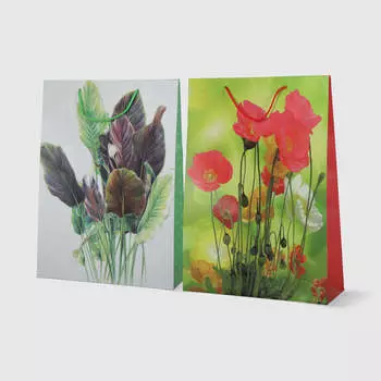 Пакет подарочный Мегамаг ламинированный XL 32,4х44,5х10,2 см в ассортименте