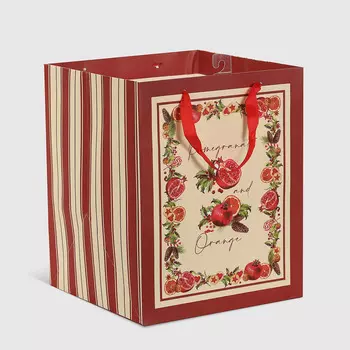 Пакет подарочный Mercury NY-61953 pomegranate 25x25x31 см