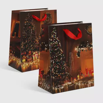 Пакет подарочный Mercury NY-75976 17,8x10,2x22,9 см в ассортименте