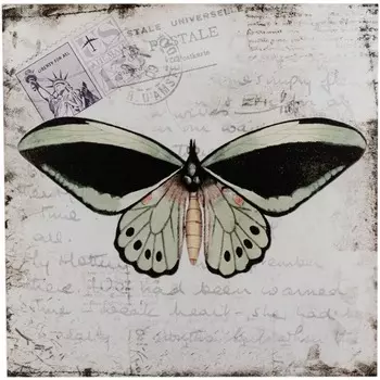 Панно настенное Glasar бабочка зеленая 31х1х31 см